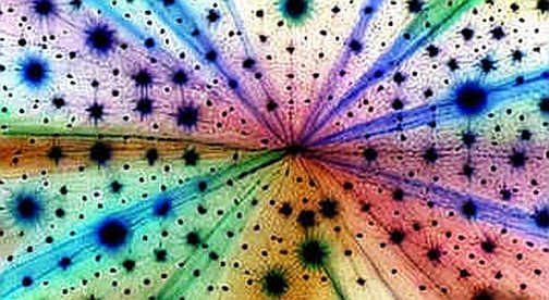 Khi 'báo động không kích Bahrain' trở thành sản phẩm của thị trường crypto: Phân tích on-chain từ góc nhìn của một thám tử